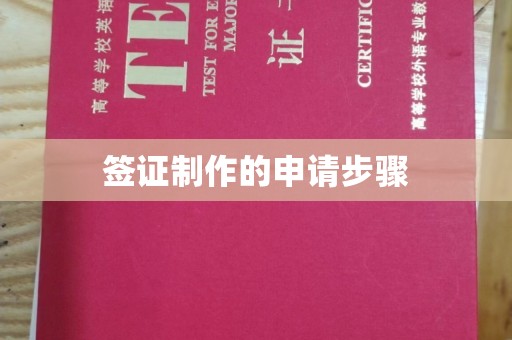 暖暖签证制作的申请步骤